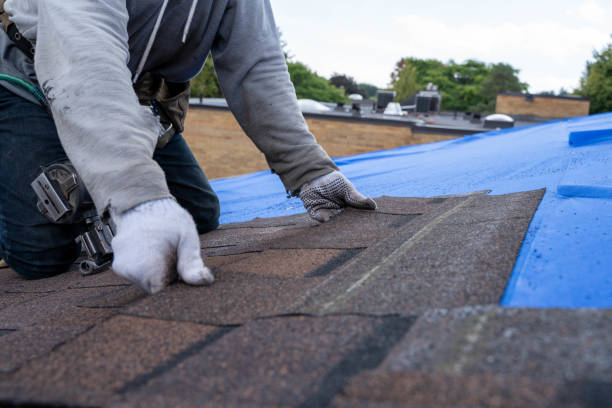 Best Roofing Contractors for Homes  in Andusia, AL